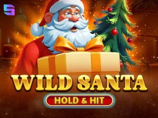 Wild Santa - Hold & Hit game thumbnail